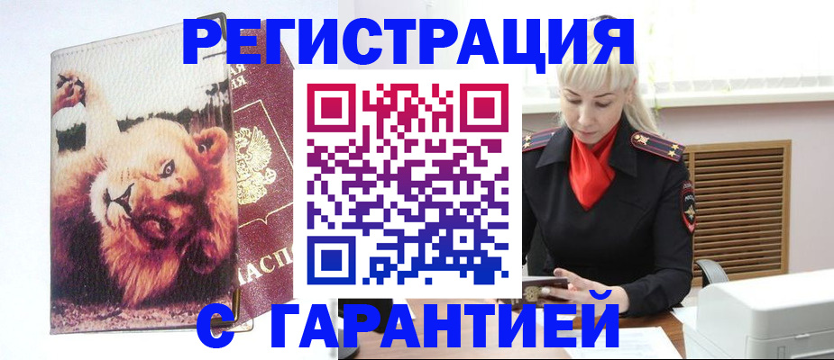 прописка от собственника в Новороссийске